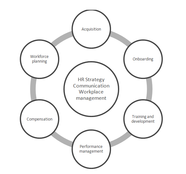 Figure 1. Talent management lifecycle